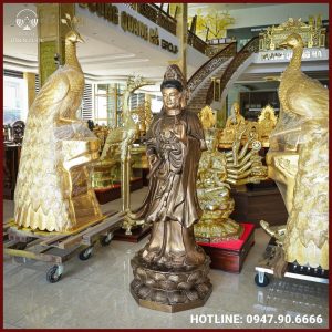 Màu sắc sang trọng