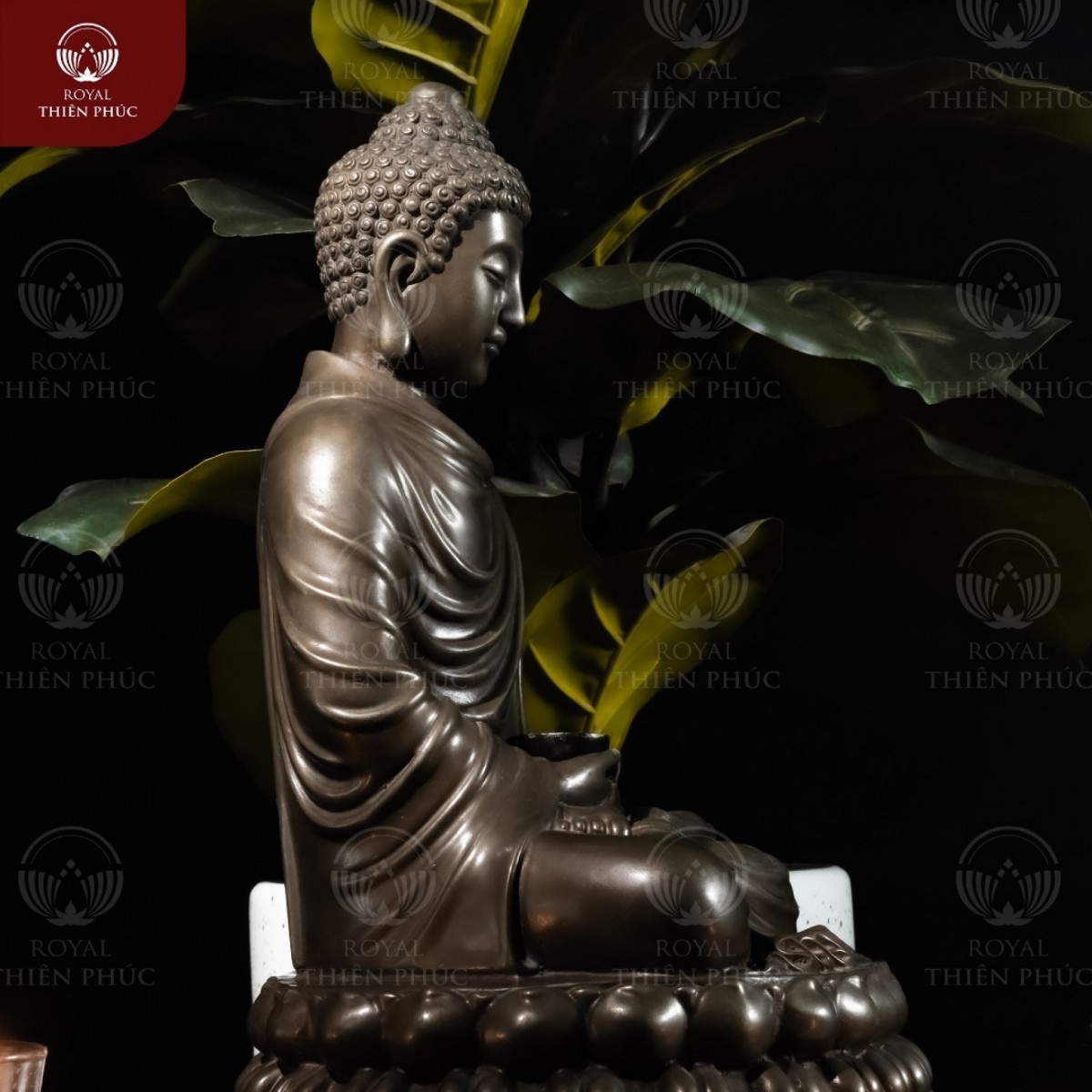 tuong-thich-ca-dong-vang-hun-gia-co-3
