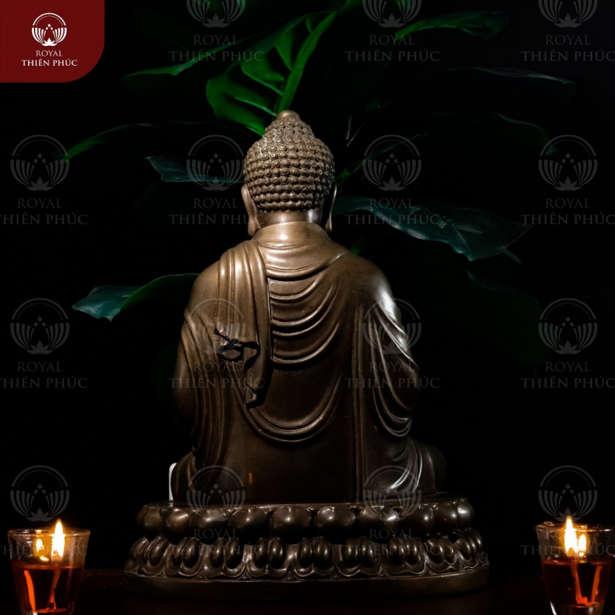 tuong-thich-ca-dong-vang-hun-gia-co-4
