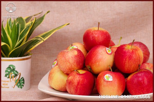 Những Loại Trái Cây Cúng Phật – Ý Nghĩa Và Lưu Ý Khi Chọn Lễ Vật
