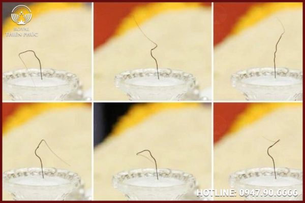Xá Lợi Tóc Phật Là Gì ? Câu Chuyện Thiêng Liêng Và Nguồn Gốc Kỳ Diệu